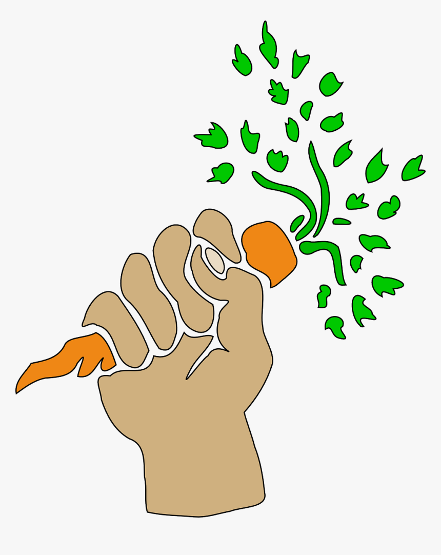 Hand Holding Carrot Clipart, HD Png Download, Free Download
