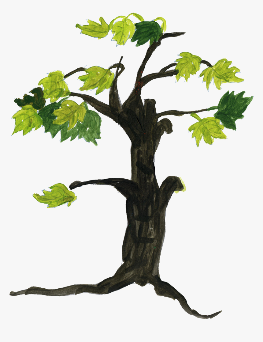 4 Tree Drawing , Png Download - Tree Drawing On Transparent Background, Png Download, Free Download