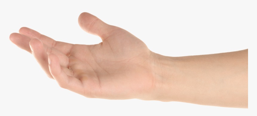 Transparent Reaching Hand Png - Hand Reaching Out Png, Png Download, Free Download
