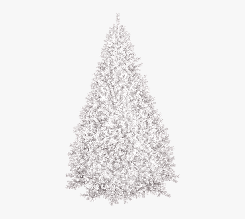 Christmas Tree, Winter, New Years Eve, Christmas, - White Christmas Tree Png, Transparent Png, Free Download