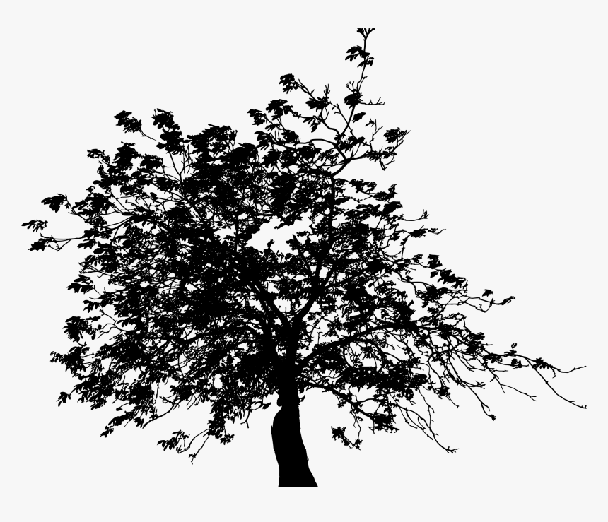 Detailed Tree Silhouette Ii Clip Arts - Tree Silhouette Leaves Png, Transparent Png, Free Download