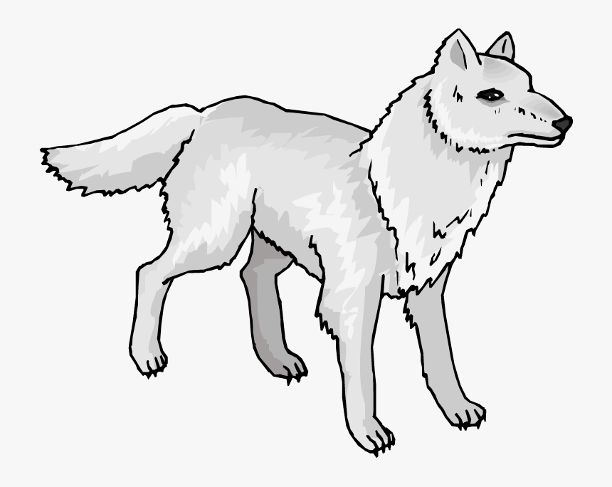 Arctic Wolf Mexican Wolf Arctic Fox Clip Art - Arctic Wolf Clipart, HD Png Download, Free Download