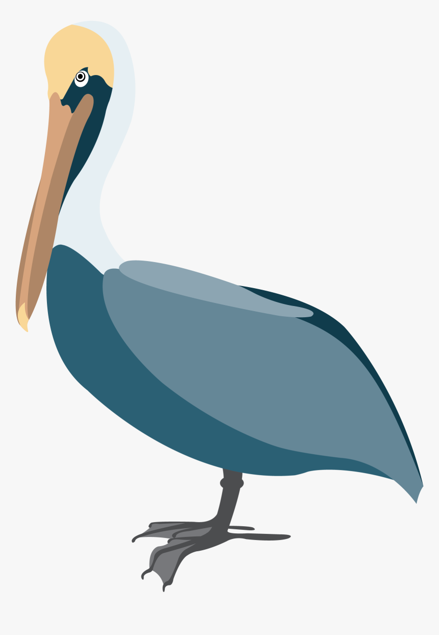 Pelican Vector Clip Art - Pelican Clipart, HD Png Download, Free Download