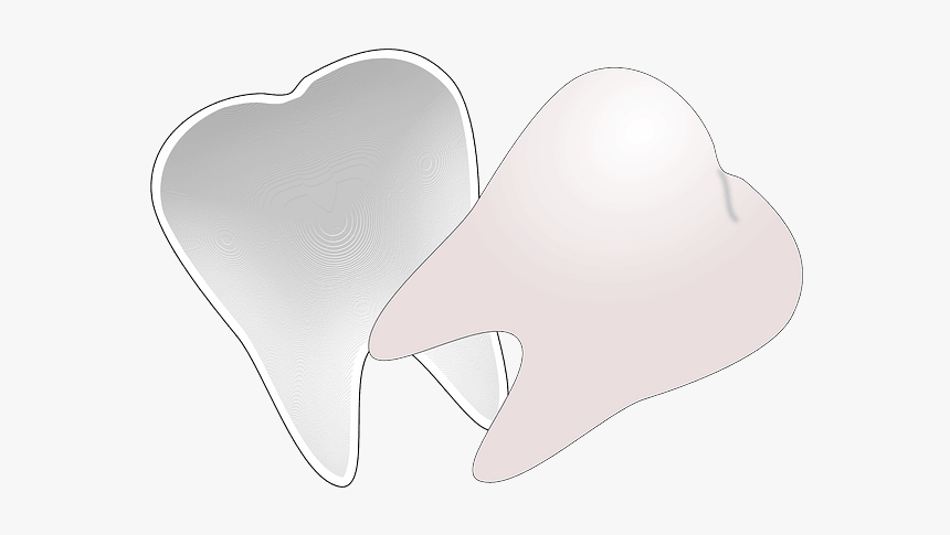 Tooth Clip Art, HD Png Download, Free Download