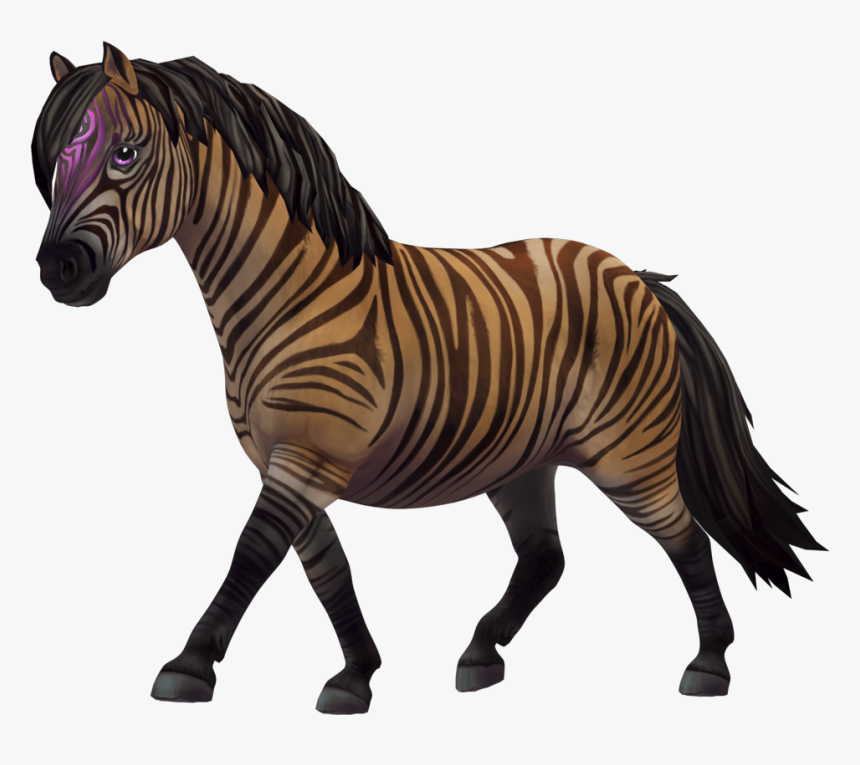 Click The Links To Download The Resources - Zony Star Stable Jäsen, HD Png Download, Free Download