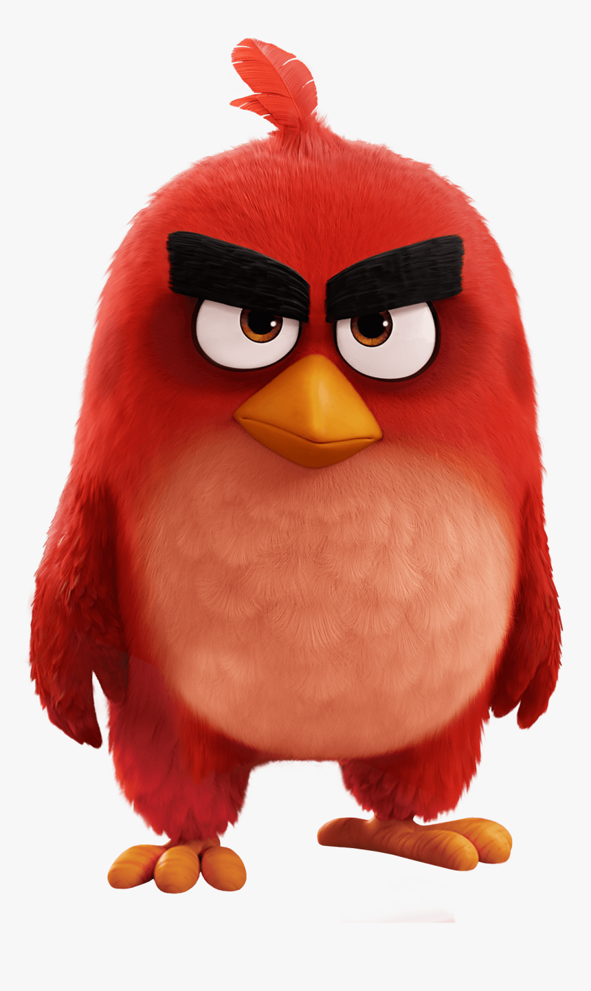 Angry Birds Movie Red Bird - Red From Angry Birds, HD Png Download, Free Download