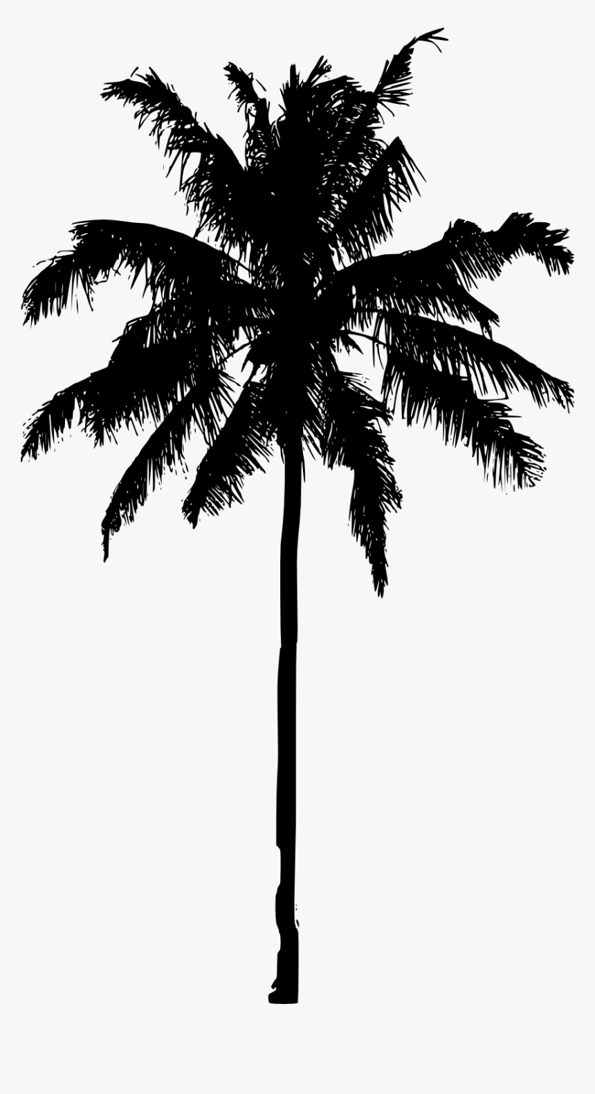Palm Tree Silhouette Png, Transparent Png, Free Download
