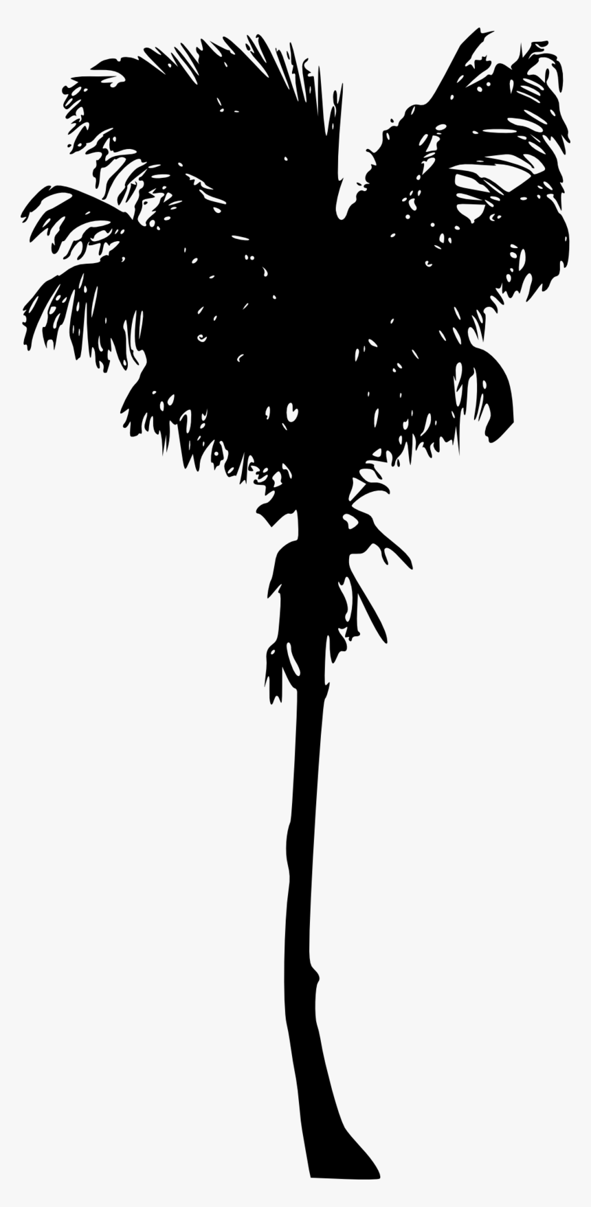 Free Png Palm Tree Png Images Transparent - Palm Trees, Png Download, Free Download