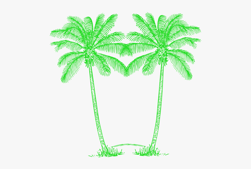 Green Palm Tree Png - Palm Green Png, Transparent Png, Free Download