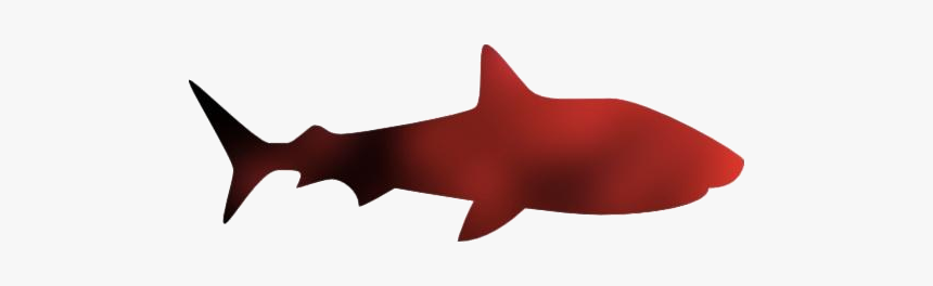 Shark Icon Png Transparent Images - Shark, Png Download, Free Download