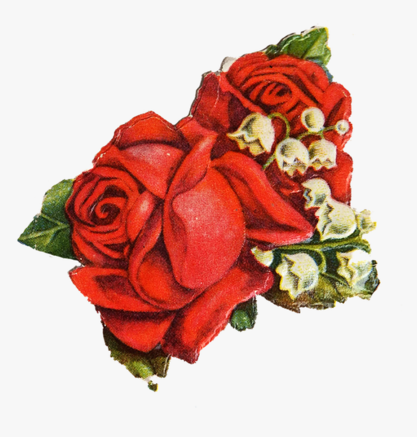 Transparent Vintage Roses Png - Red Rose Transparent Rose Vintage, Png Download, Free Download