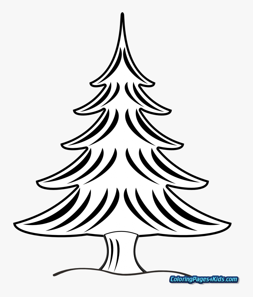 Christmas Tree With Presents Coloring Pages For Kids - Pine Clipart Black And White, HD Png Download, Free Download