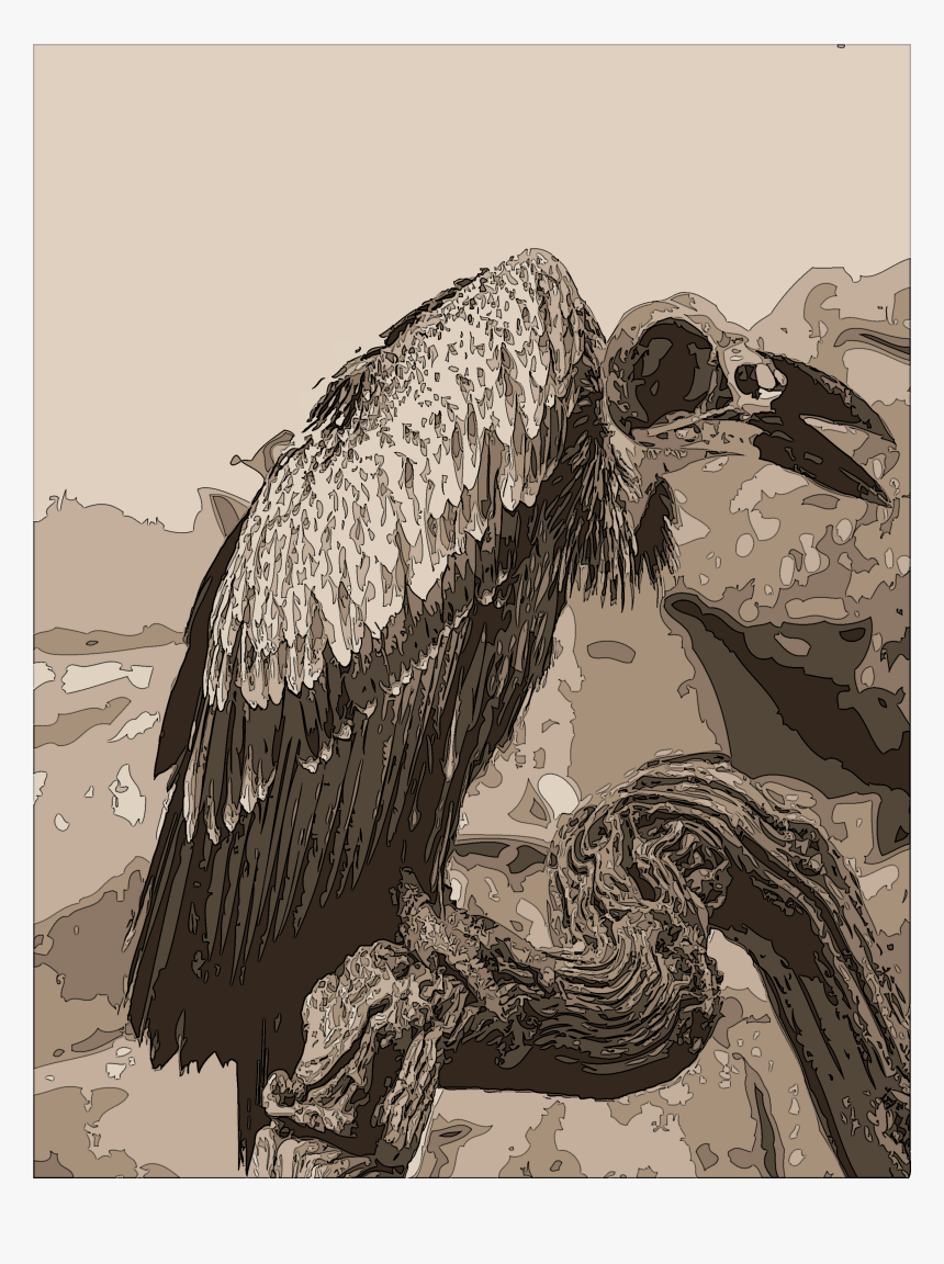 Vulture - Pelican, HD Png Download, Free Download