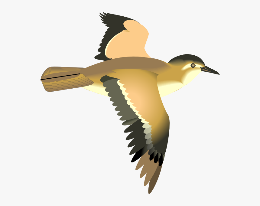 Bird Fly Animation Png, Transparent Png, Free Download