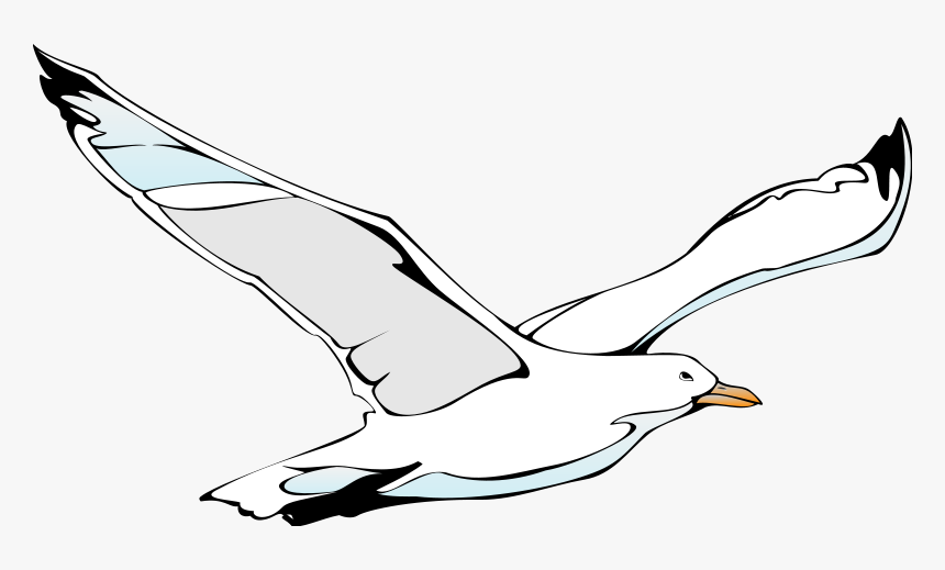 Transparent Bird Vector Png - Cartoon Seagull Flying Transparent, Png Download, Free Download