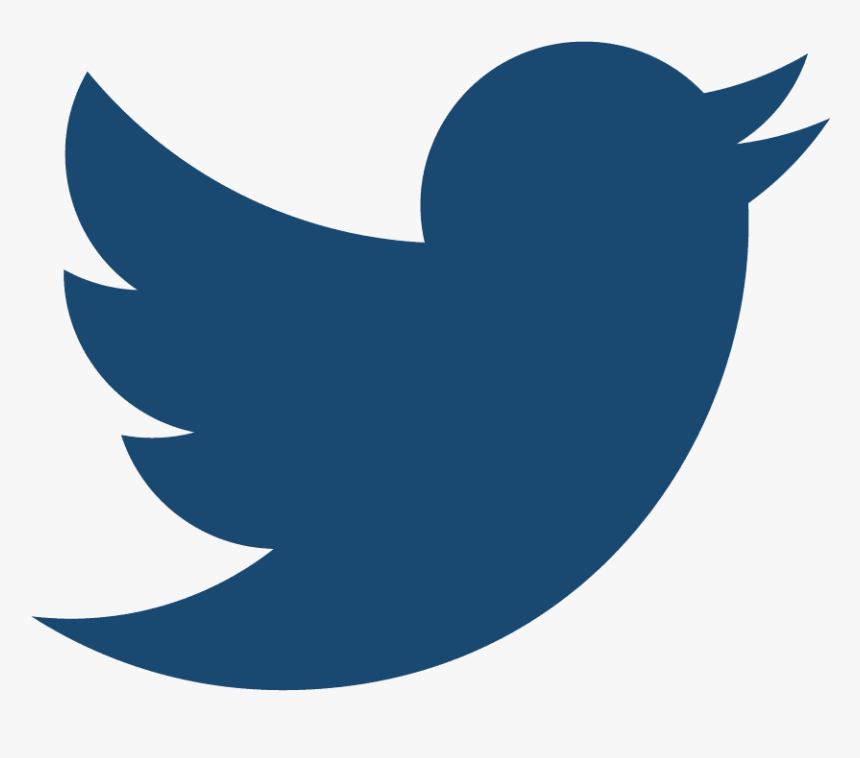 Transparent Twitter Bird Png - Twitter Bird Png Transparent, Png Download, Free Download