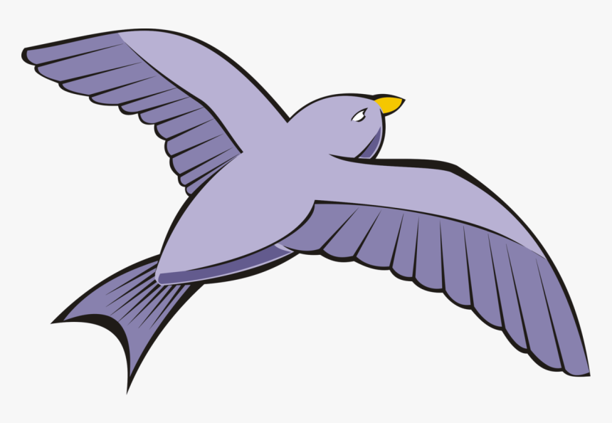 Bird Columbidae Rock Dove Flight Beak - Flying Birds Clip Art, HD Png Download, Free Download
