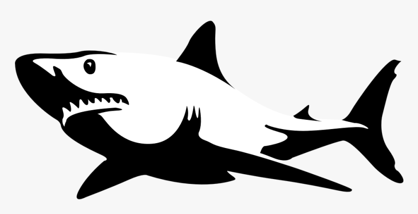Shark Black White, HD Png Download, Free Download