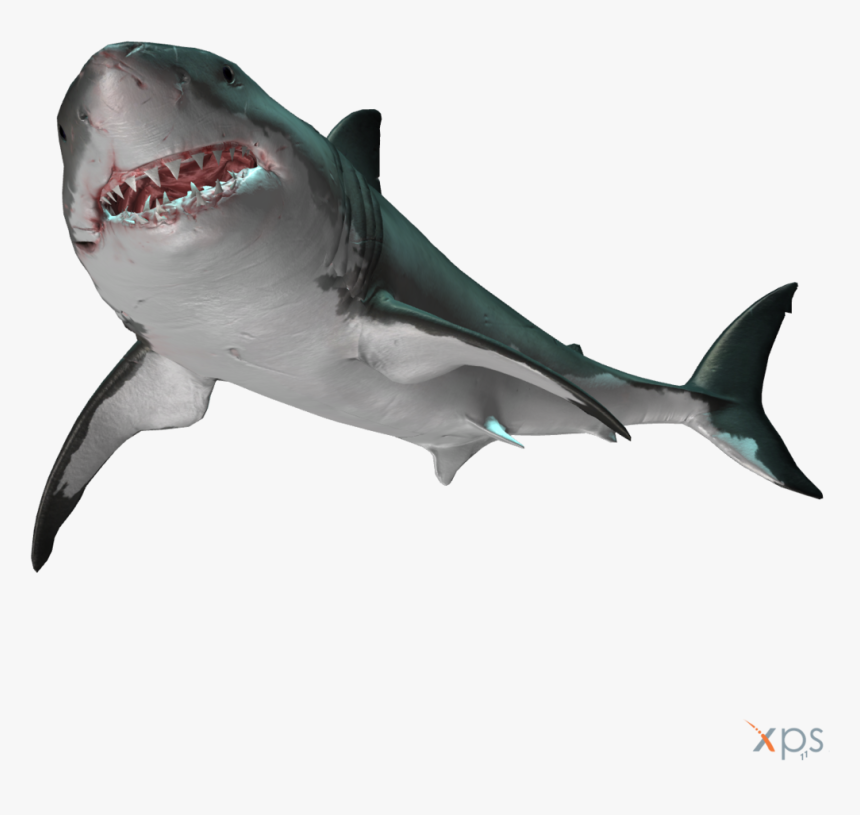 Normaldepthgws - Great White Shark, HD Png Download, Free Download