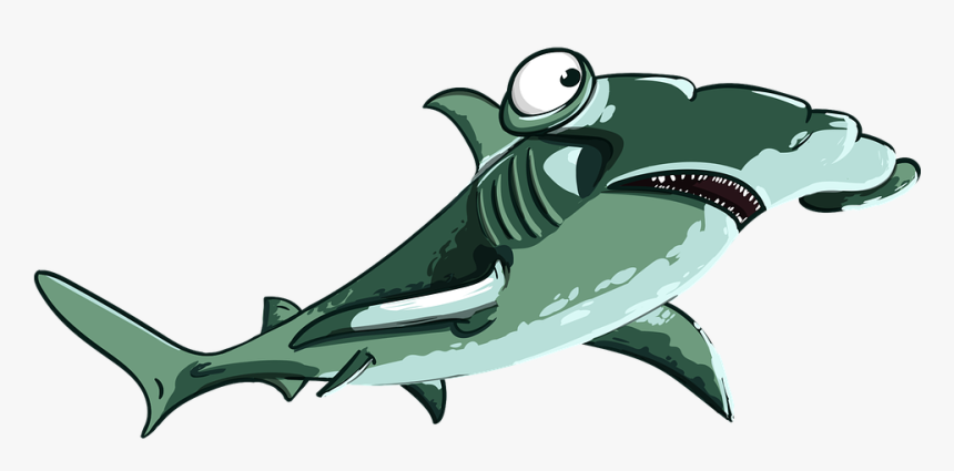 Shark, Fish, Hammer, Predator, Teeth, Mouth, Sea - Cá Mập Búa Cartoon, HD Png Download, Free Download