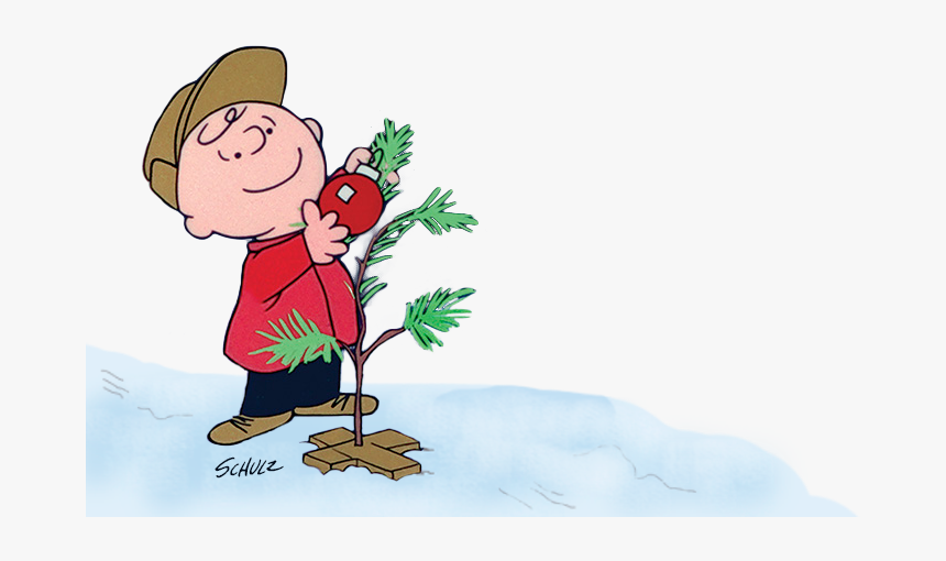 Charlie Brown Christmas Tree Png - Charlie Brown Christmas Png, Transparent Png, Free Download