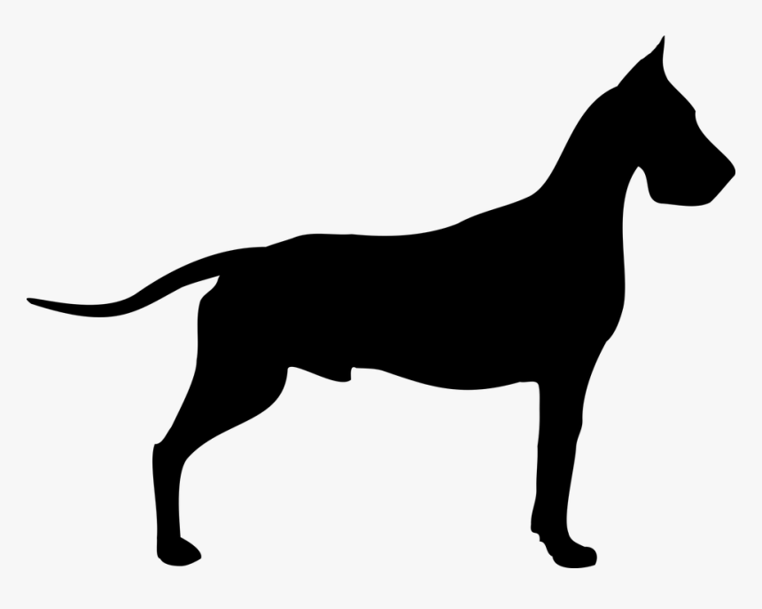 Dane, Dog, Doggy, Breed, Snout, Animal, Coat, Clip - Great Dane Vector Png, Transparent Png, Free Download