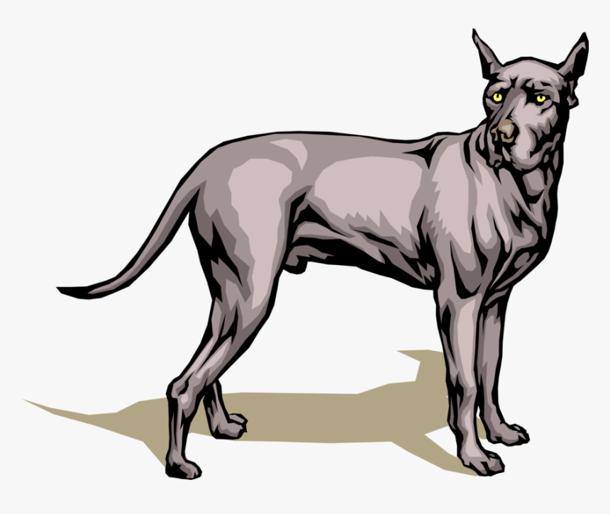 Vector Illustration Of Great Dane Dog Turns Its Head - Great Dane Dog Vector, HD Png Download, Free Download