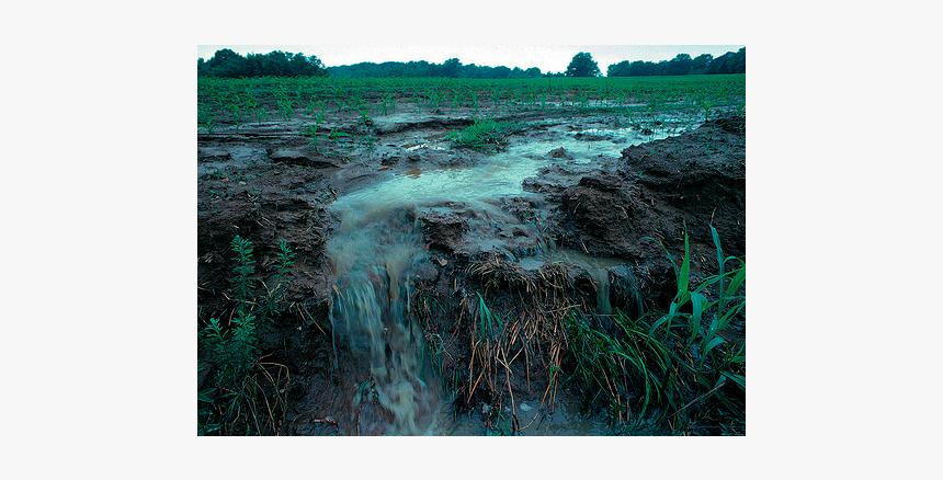 Agricultural Runoff, HD Png Download, Free Download