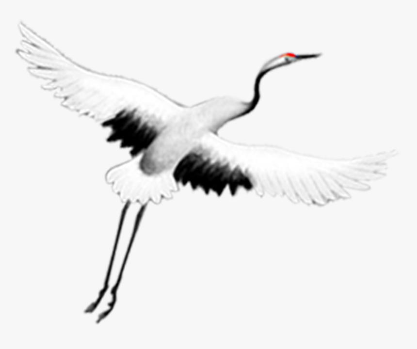 Transparent Crane Hook Png - Flying Crane Png, Png Download, Free Download