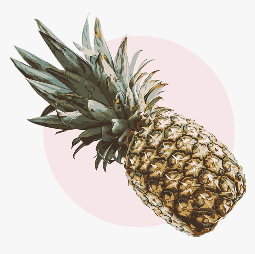 #pineapple #pineapple🍍 #vintage #aesthetic #retro - Pineapple Aesthetic, HD Png Download, Free Download