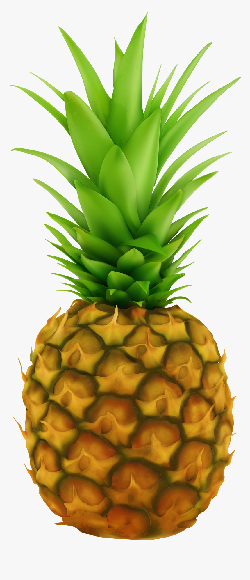 Pineapple Transparent Clip Art Image - Pineapple Fruit Transparent Background, HD Png Download, Free Download