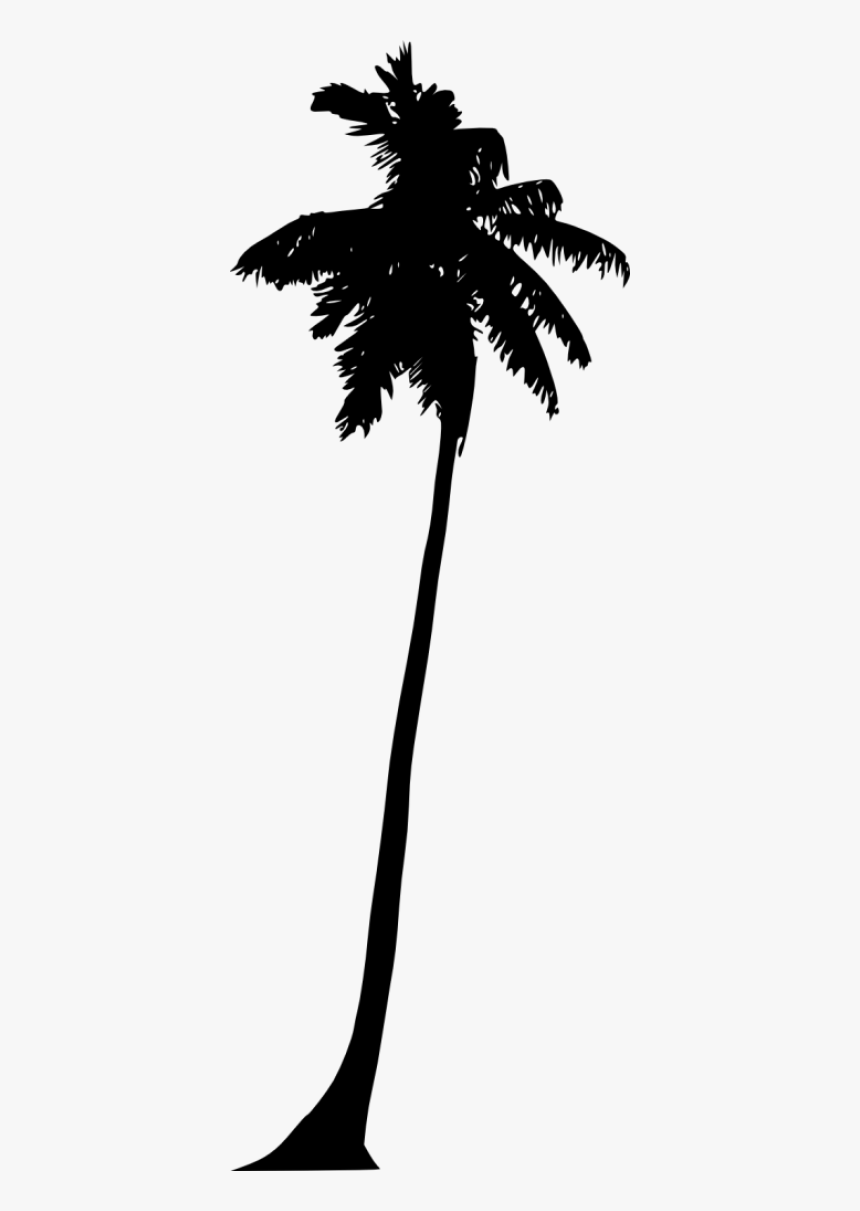Silhouette Palm Tree, HD Png Download, Free Download