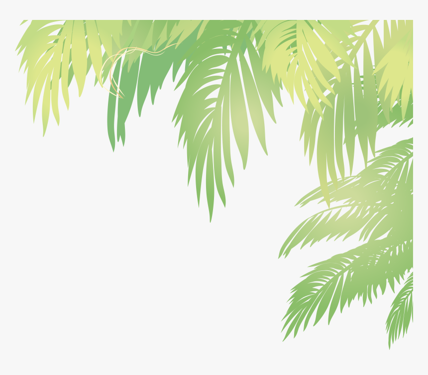 Arecaceae Leaf Euclidean Vector - Coconut Leaf Vector Png, Transparent Png, Free Download
