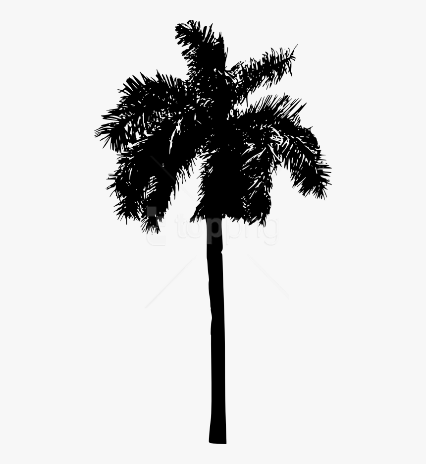 White Palm Tree Png - Palm Tree Silhouette Png Transparent, Png Download, Free Download