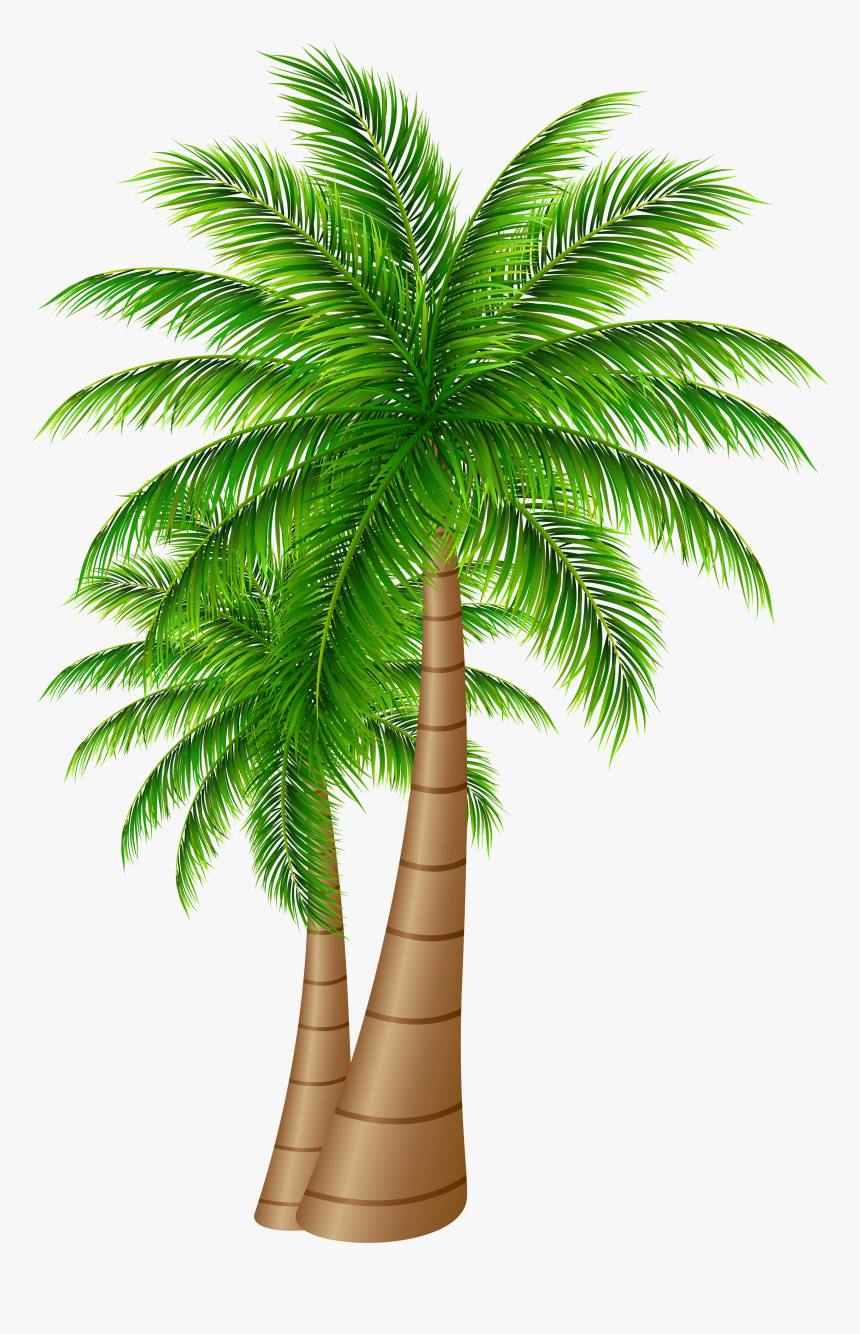 Palm Tree Clipart Transparent Png - Island With Palm Tree Clipart, Png Download, Free Download