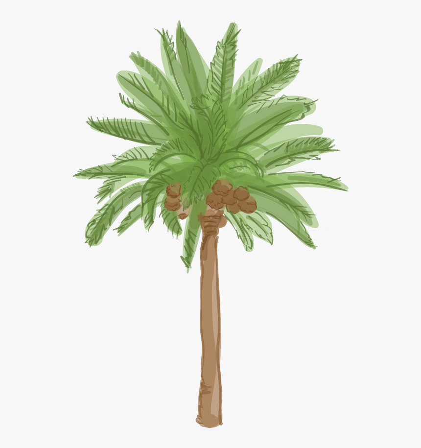 Date Palm Tree Cartoon, HD Png Download, Free Download