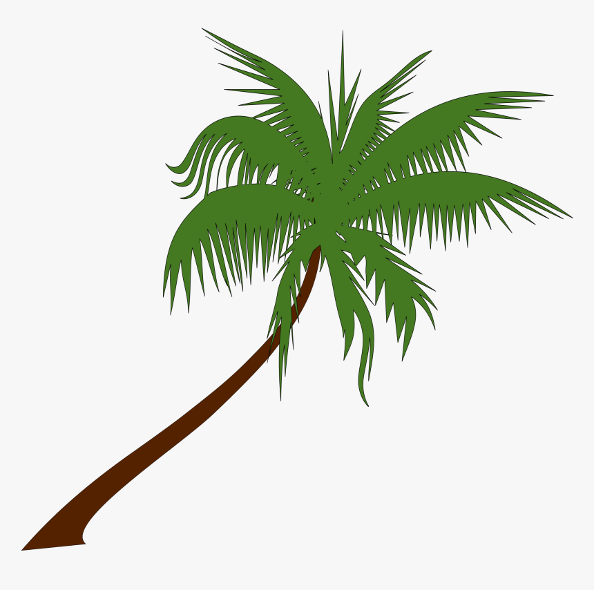 Clipart - Free Palm Tree Graphic, HD Png Download, Free Download