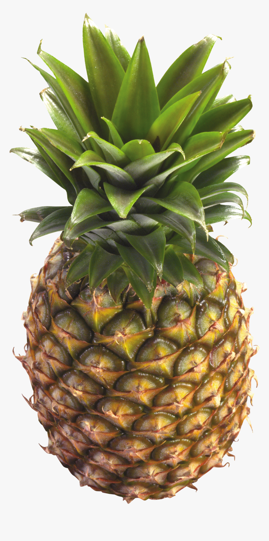 Transparent Pineapple Png, Png Download, Free Download