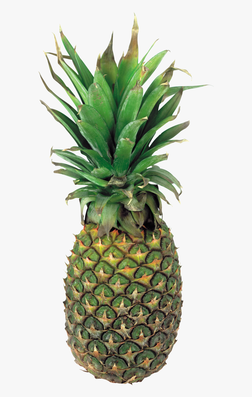 Pineapple Png Free Download - Green Pineapple Png, Transparent Png, Free Download