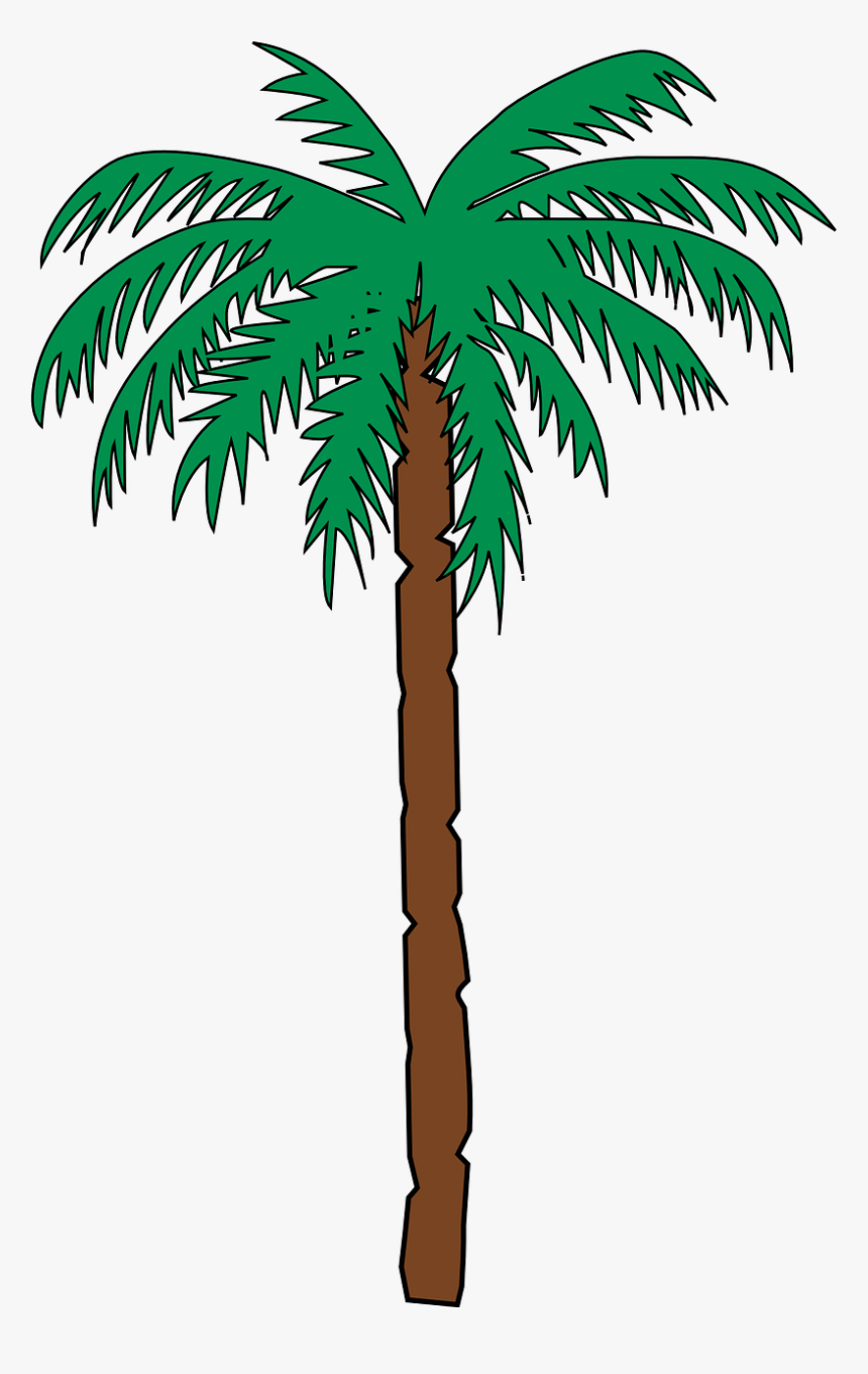 Transparent Plam Tree Png - Cartoon Palm Tree, Png Download, Free Download