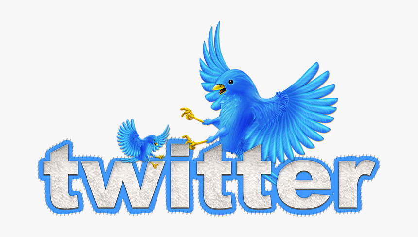 Twitter, Tweet, Twitter Bird, Chirp, Tweet, Chirrup - Twitter Bird, HD Png Download, Free Download