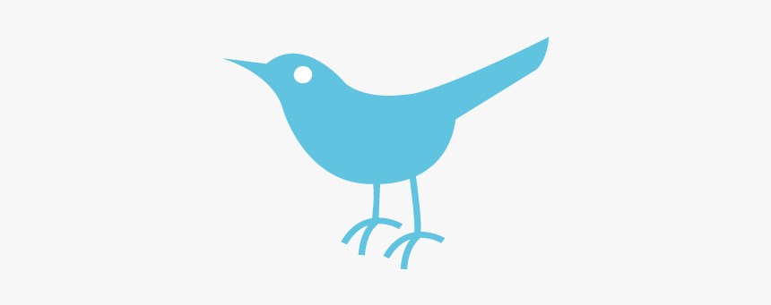 Twitter Bird Logo Transparent - Twitter Gifs Transparent Background, HD Png Download, Free Download