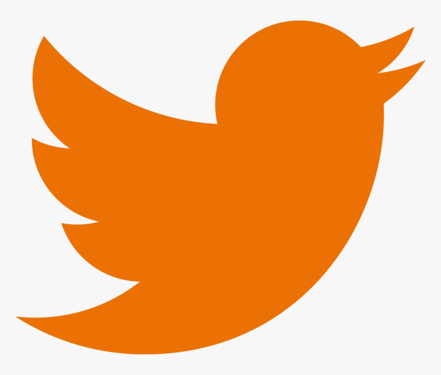 Twitter Bird Transparent Background - Orange Twitter Logo Transparent, HD Png Download, Free Download