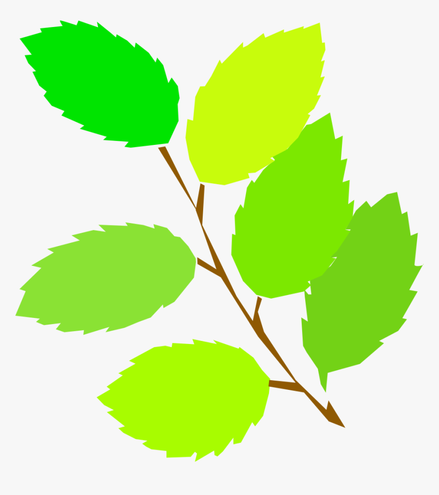 Simple Spring, New Leaves - Spring Clip Art, HD Png Download, Free Download
