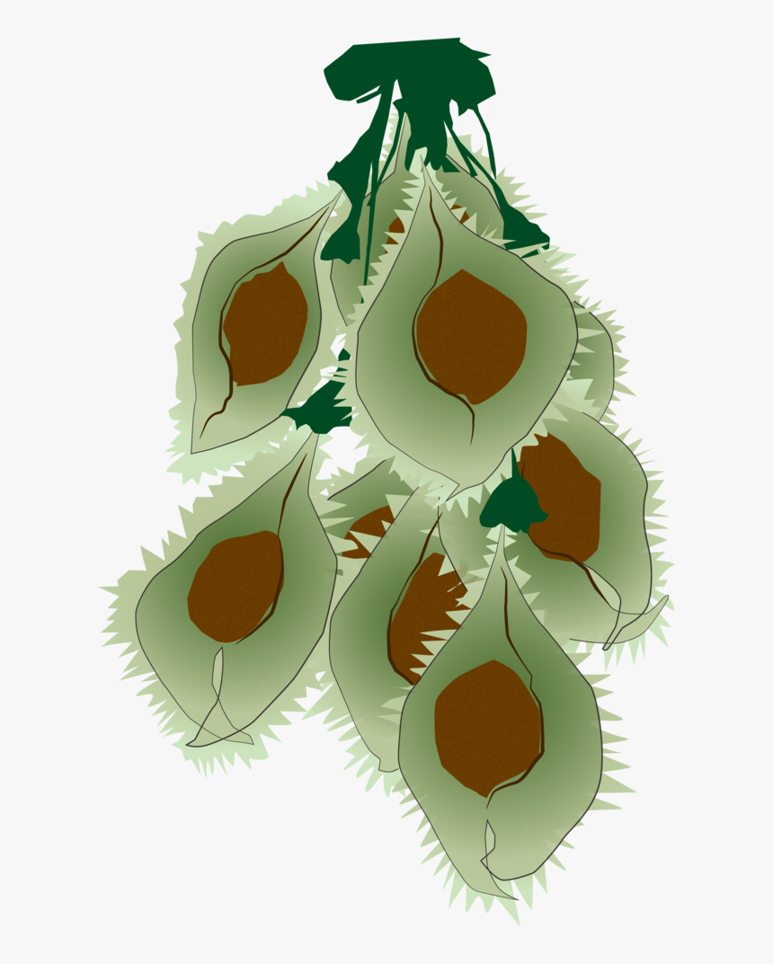 Transparent Elm Tree Png - Illustration, Png Download, Free Download