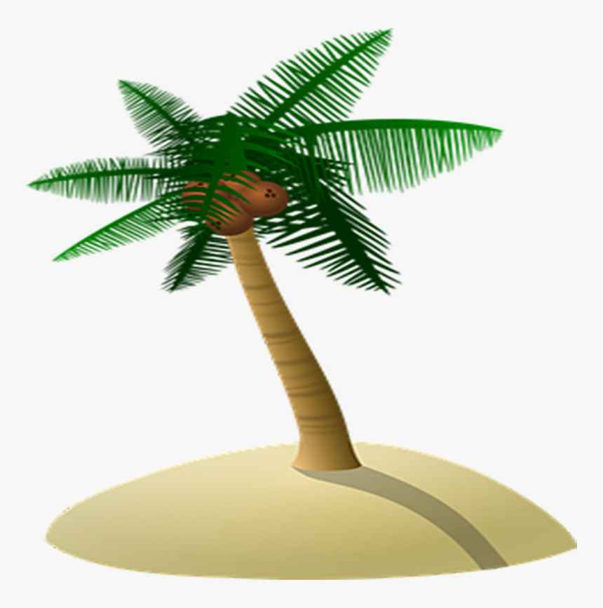 Arecaceae Coconut Tree Island Free Download Png Hq, Transparent Png, Free Download