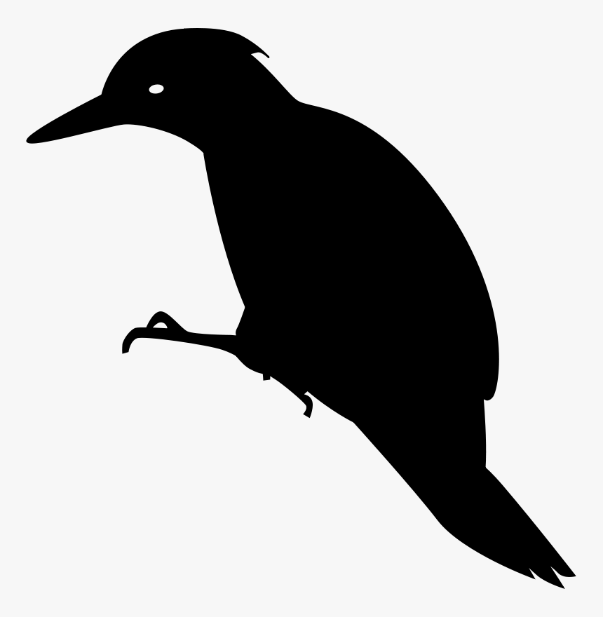 Woodpecker White-tailed Deer Bird Clip Art - Specht Png, Transparent Png, Free Download