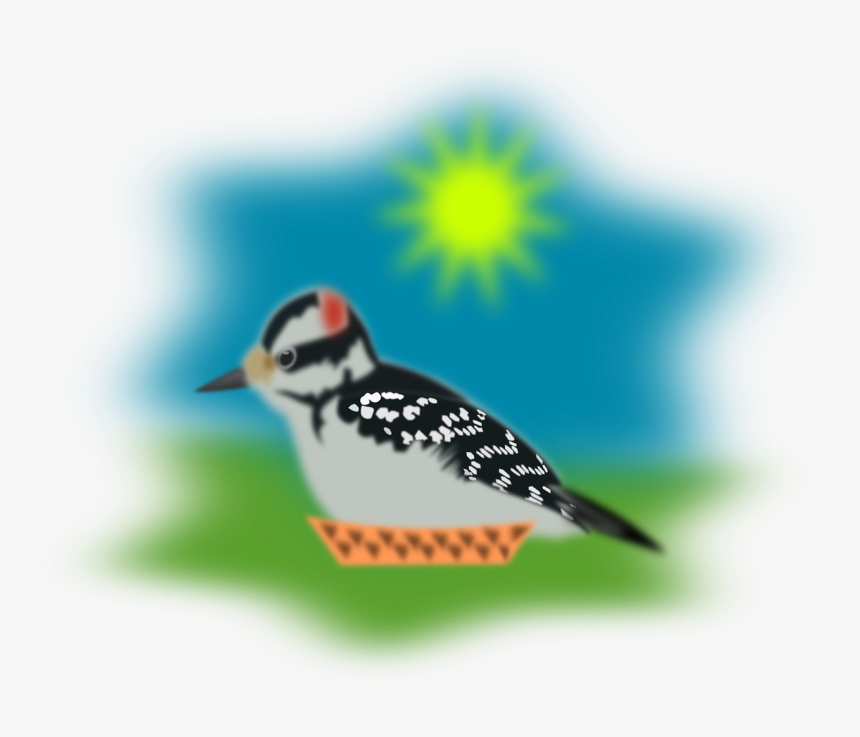 Downy Woodpecker, HD Png Download, Free Download