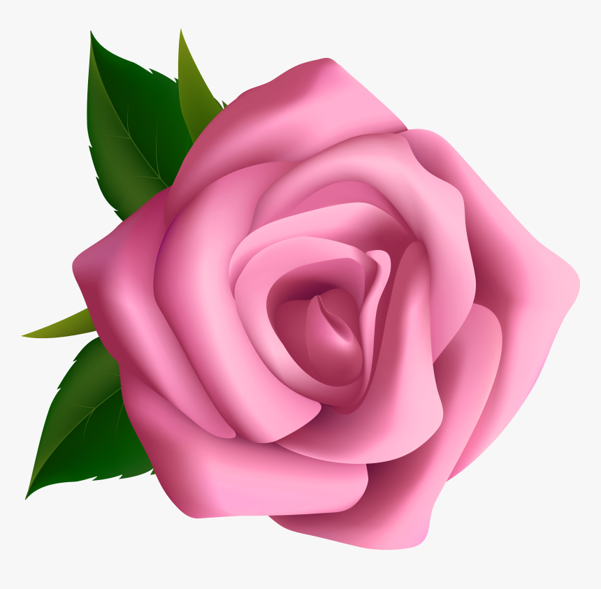 Large Pink Rose Blumen Pink Roses Clip Clipart - Rose Clipart, HD Png Download, Free Download