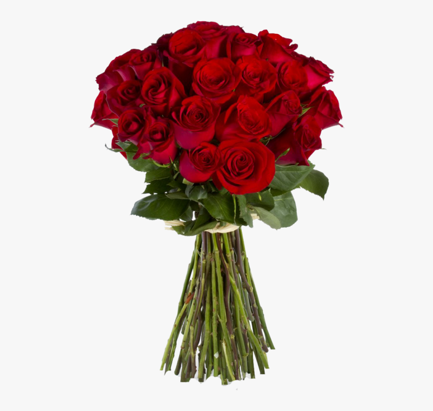 Red Rose Flower Png - Red Rose Flowers For Her, Transparent Png, Free Download